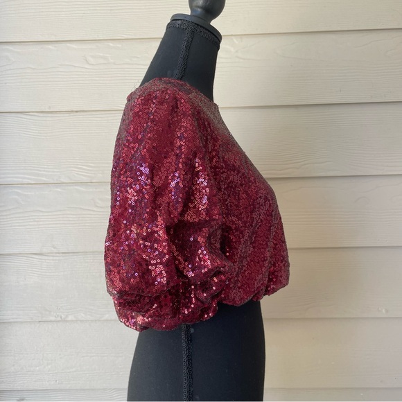 Day + Moon Cranberry  Sequin Top 
Size S - Picture 4 of 7